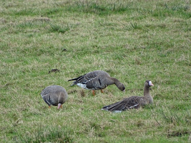 防守漏洞展 防守漏洞展