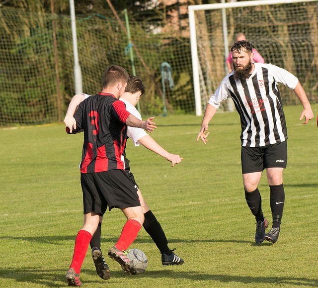 是普通成员 是普通成员